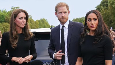 Where Do Prince Harry and Meghan Stand With William and Kate Middleton During Her Cancer Battle 445