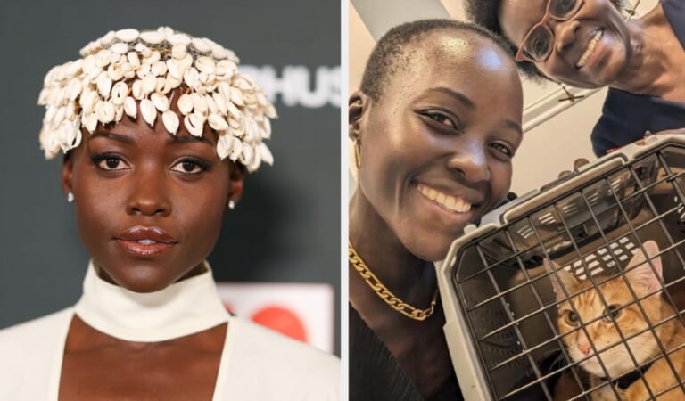 Despite Being Afraid Of Cats For Years, Lupita Nyong'o Adopted A Cat To Help Mend Her Broken Heart, And It Turned Out To Be The Perfect Cure