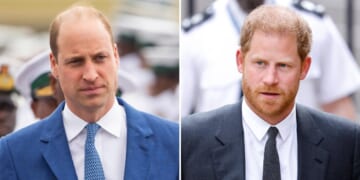 Prince William ‘No Longer Even Recognizes’ Prince Harry, Book Claims