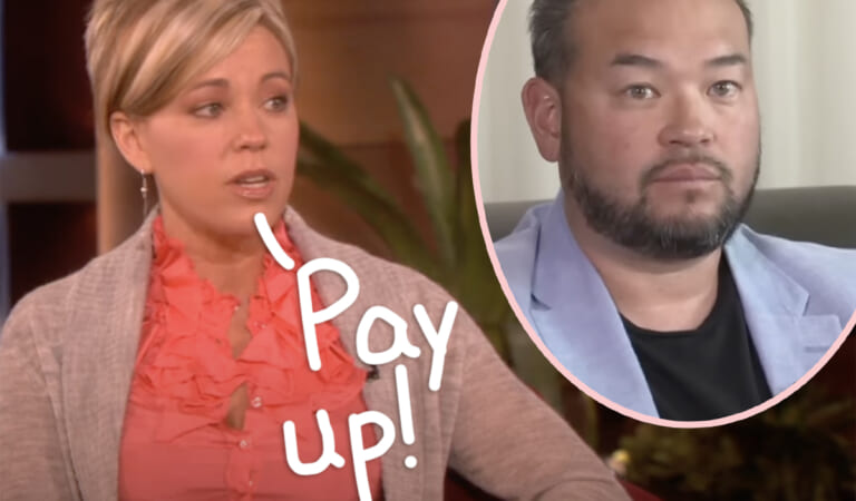 Kate Gosselin Is Still Going After Ex-Husband Jon For BIG BUCKS In Back Child Support – Will This Ever End?!