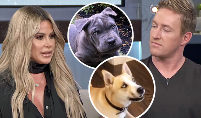 Kim Zolciak & Kroy Biermann In Doghouse As Neighbors Call Cops After Their ‘Dangerous’ Dog ‘Almost Attacked’ Kids!