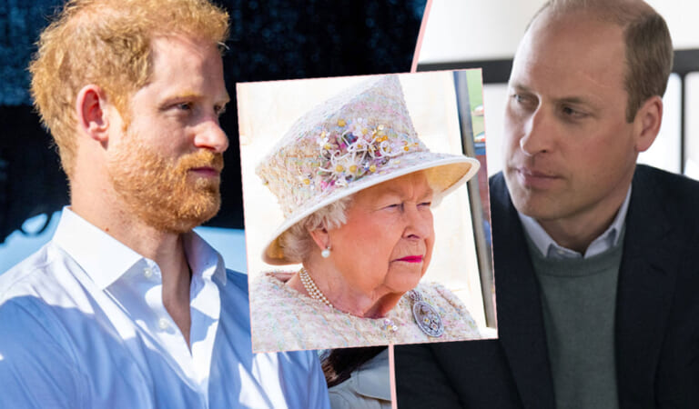 Prince William ‘Ignored’ Prince Harry’s Texts For HOURS Before Queen Elizabeth’s Death?!