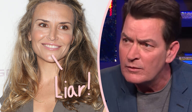 Brooke Mueller Friends Say She’s Still ‘In The Picture’ Raising Her Kids, Despite What Charlie Sheen Claims!
