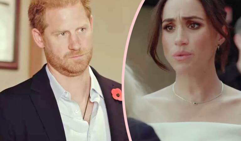 Prince Harry & Meghan Markle’s Archewell Foundation Donations Have CRATERED! They LOST Money Last Year!