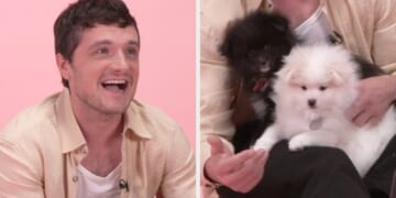 Josh Hutcherson Puppy Interview