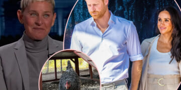 Prince Harry And Meghan Markle Adopted A Chicken From Ellen DeGeneres?!