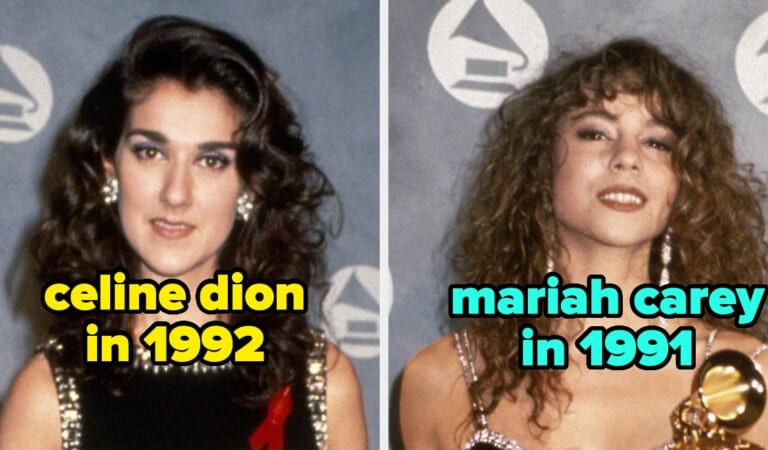 25 Side-By-Sides Of Famous People At Their First Grammy Awards Vs. Them At The 2024 Show