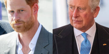 Prince Harry 'Really Wants' To Fix Relationship With King Charles Amid Cancer Battle, BUT...