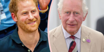 Prince Harry Was ‘Cheerful’ During Trip Home After Visiting King Charles