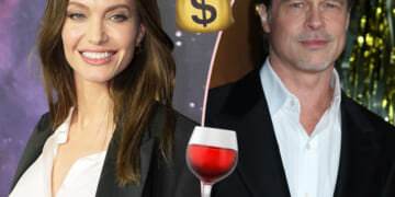 Brad Pitt Takes A Big Fat 'L' In Vicious Vineyard Lawsuit Against Ex Angelina Jolie!