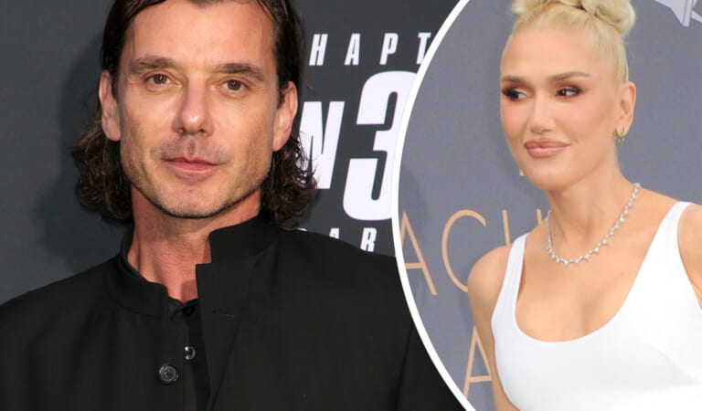 Gavin Rossdale DRAGGED For Complaining About Gwen Stefani Divorce – As Fans Remember Who Caused It!