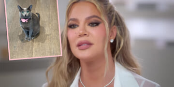 Khloé Kardashian Responds After Followers Accusing Her Of Using FaceTune On The Family CAT!
