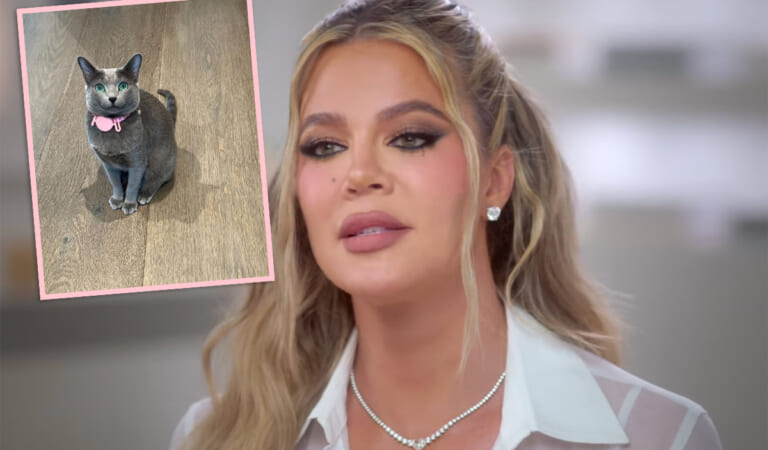 Khloé Kardashian FINALLY Responds To Accusations She FaceTuned The Family Cat!