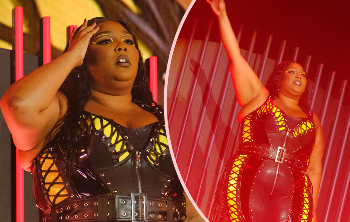 Lizzo Quits Music Backlash Lawsuit