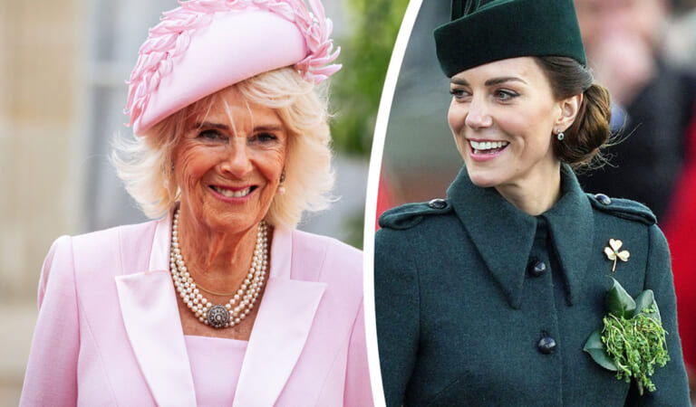Queen Camilla Shares First Public Words About Princess Catherine After Cancer Reveal