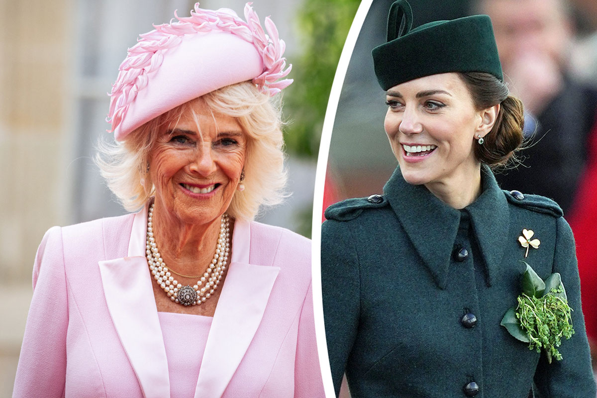 Queen Camilla Speaks Out On Princess Catherine After Cancer Reveal