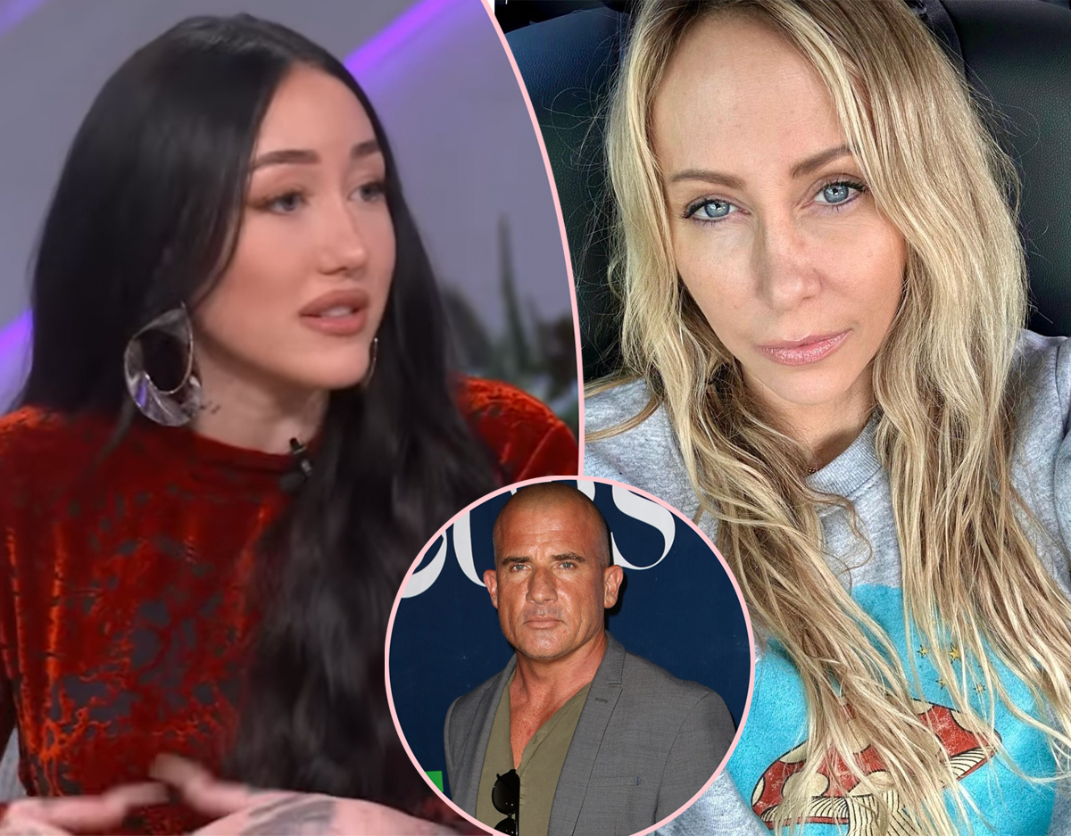 Tish Cyrus Pursued Dominic Purcell AFTER Daughter Noah ‘Stopped Seeing’ Him