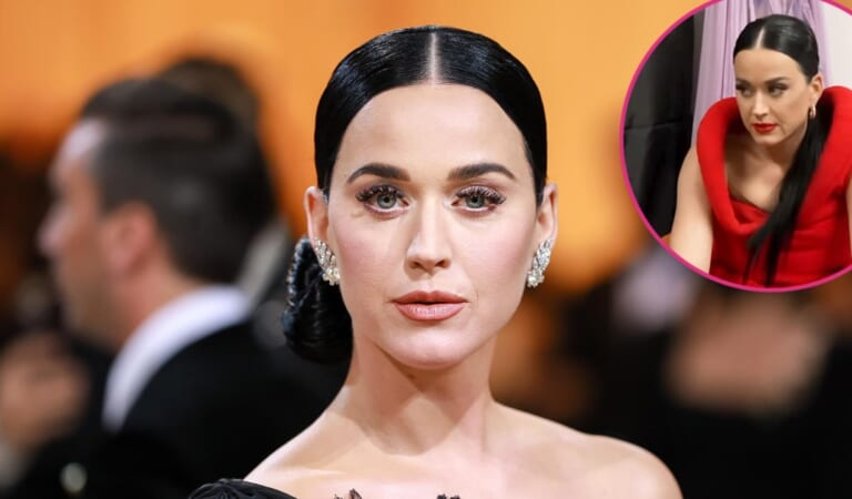 Katy Perry Gets Stuck in $7K Bottega Veneta Dress, Refuses to Cut It
