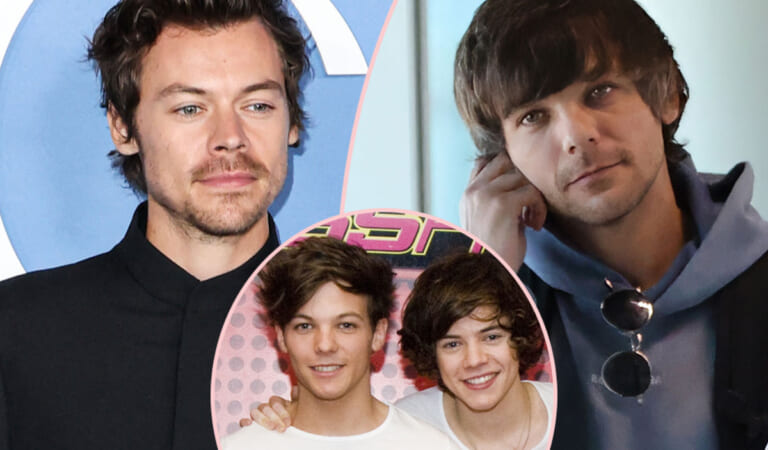 Louis Tomlinson Is Tired Of Fighting The Harry Styles Conspiracy Theories!