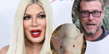Tori Spelling Explains The Story About The Pig In Her Bed That Drove Dean McDermott Away