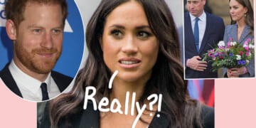 Yes, Royal Experts Are STILL Blaming Meghan Markle For William & Harry's Issues!